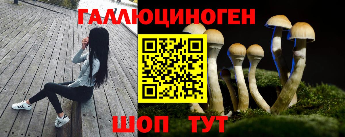 Галлюциногенные грибы MAGIC MUSHROOMS Пенза
