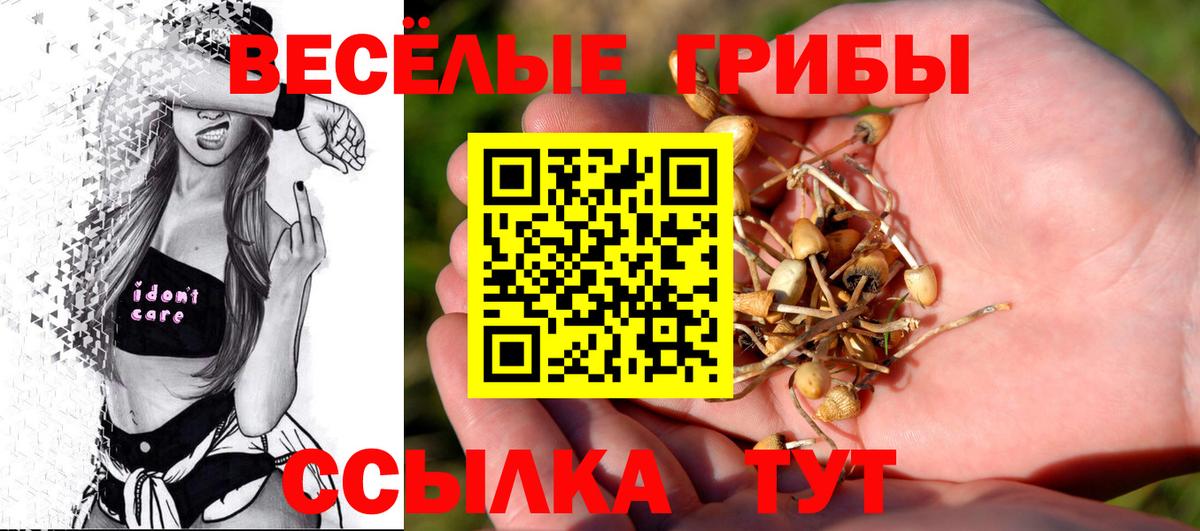 Пенза  Псилоцибиновые грибы GOLDEN TEACHER  Вход с VPN 